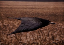 STUDIO ANDREAS WELLNITZ