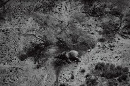 STUDIO ANDREAS WELLNITZ