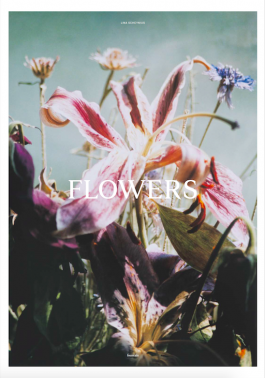 STUDIO ANDREAS WELLNITZ