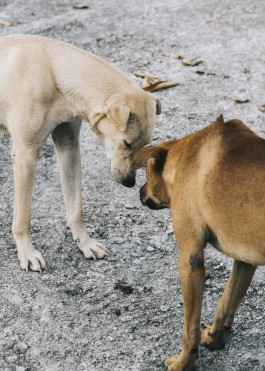 STUDIO ANDREAS WELLNITZ