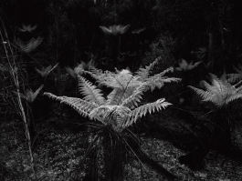 STUDIO ANDREAS WELLNITZ